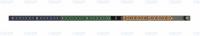 Блок розеток PDU Vertiv GI10009L серия Basic