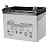 Аккумулятор Leoch LPG 12-31
